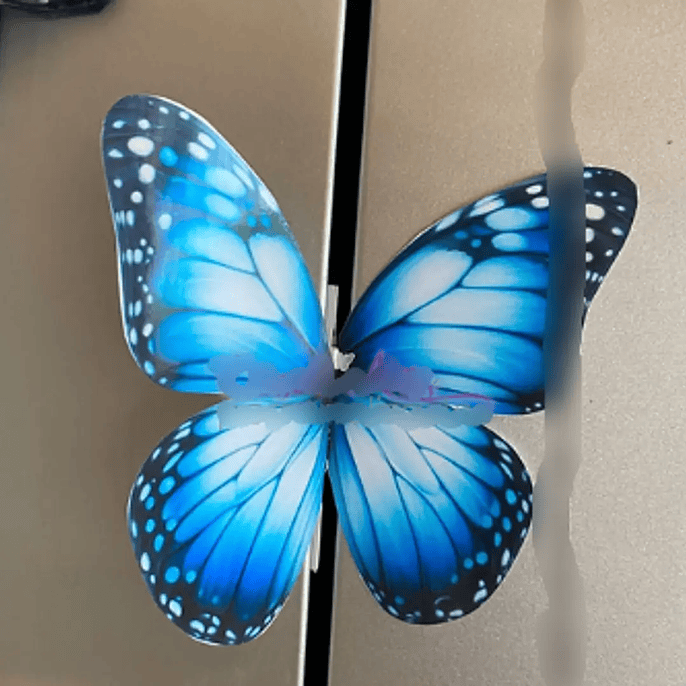 Arquivo Card Divulgação Borboleta 1