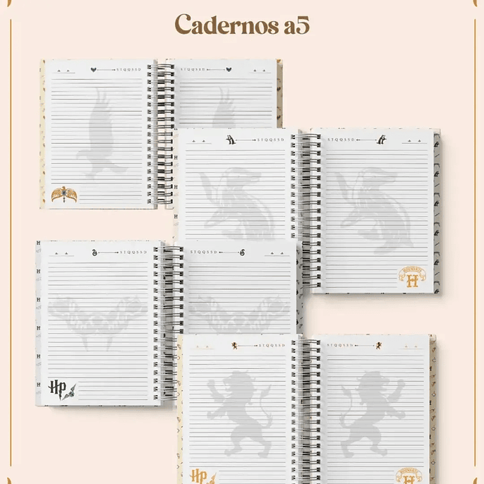 Arquivo Coleçao Harry Potter 2026  3