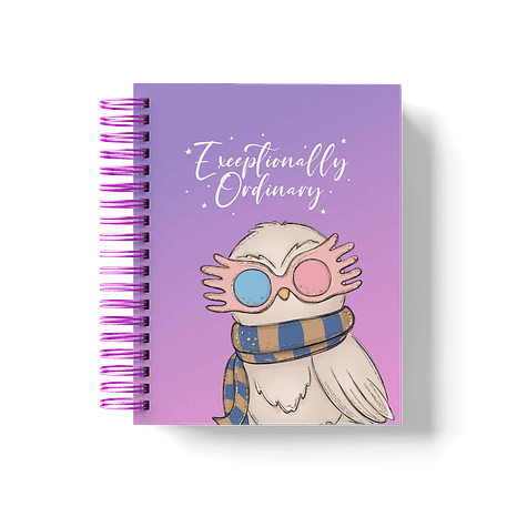 Arquivo Coleção Harry Potter Edição Especial Luna  8