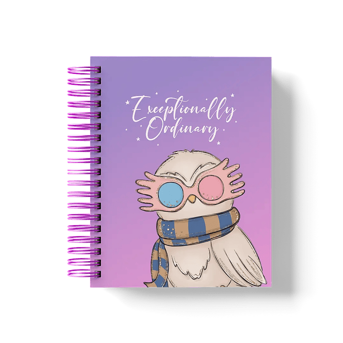 Arquivo Coleção Harry Potter Edição Especial Luna  8