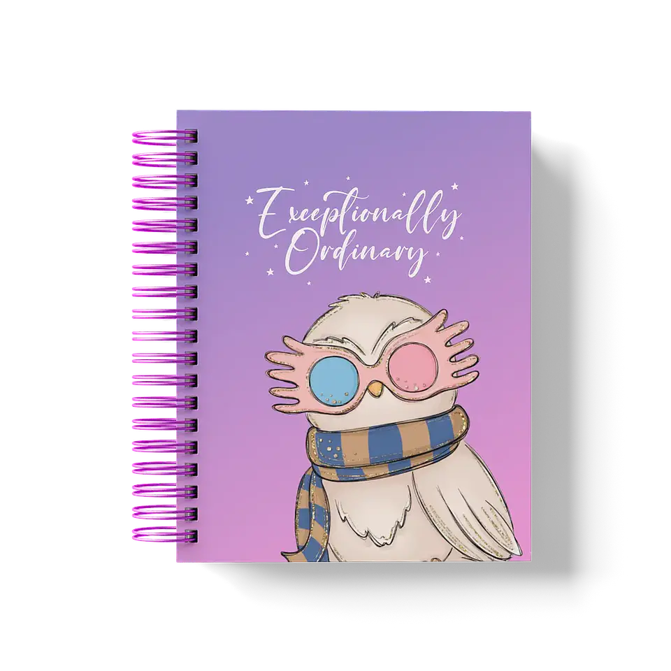 Arquivo Coleção Harry Potter Edição Especial Luna  8