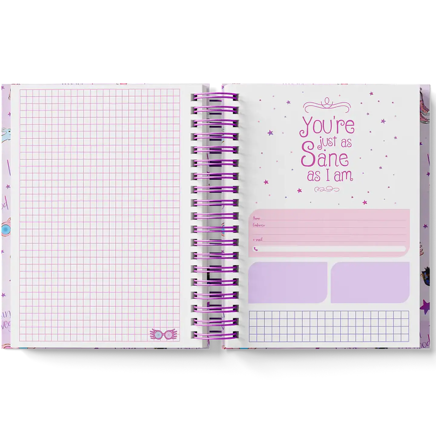 Arquivo Coleção Harry Potter Edição Especial Luna  21