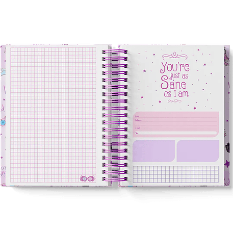 Arquivo Coleção Harry Potter Edição Especial Luna  21