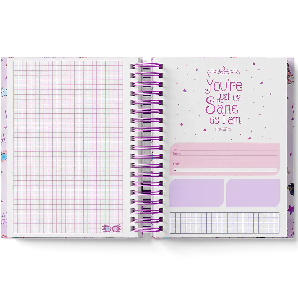 Arquivo Coleção Harry Potter Edição Especial Luna  21