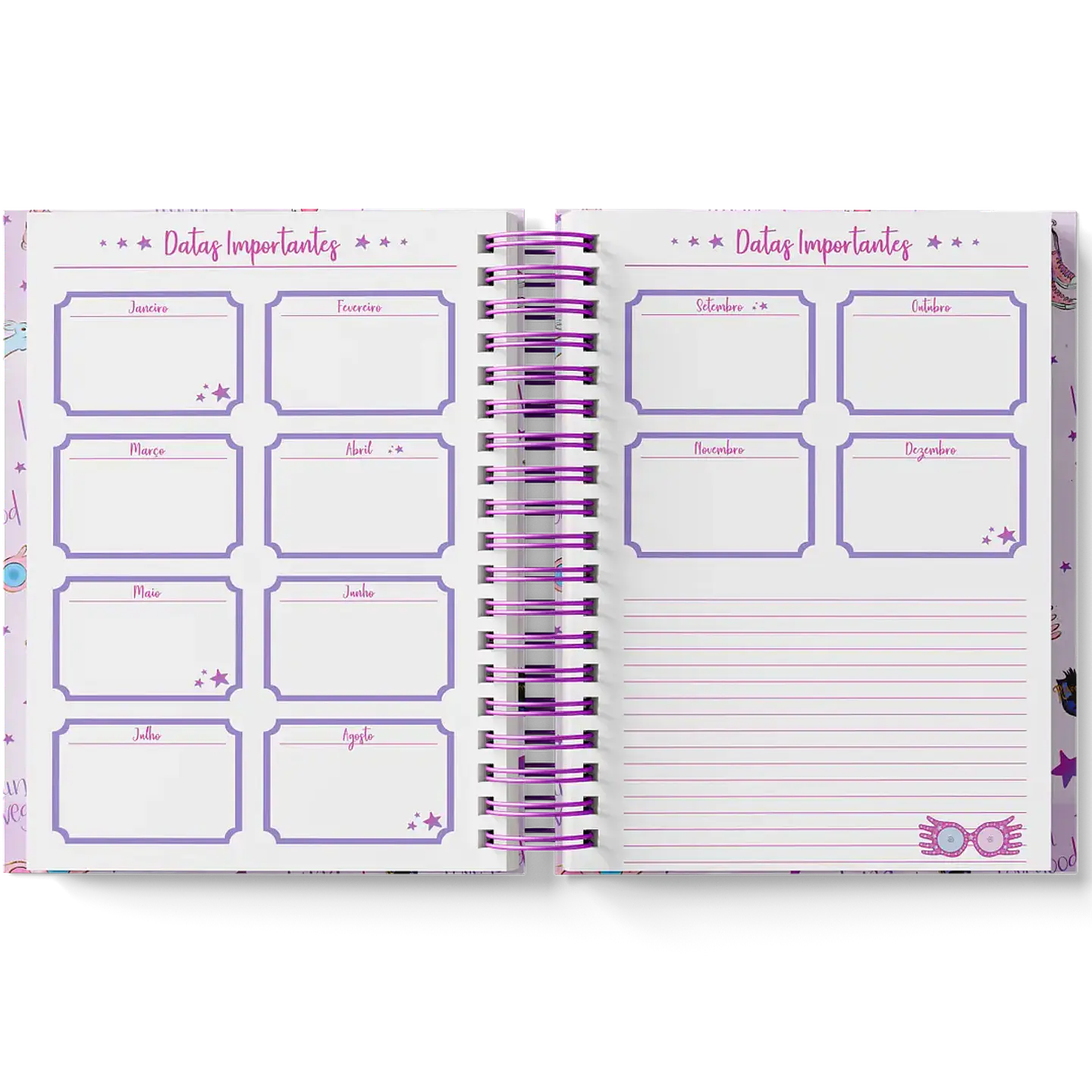 Arquivo Coleção Harry Potter Edição Especial Luna  27