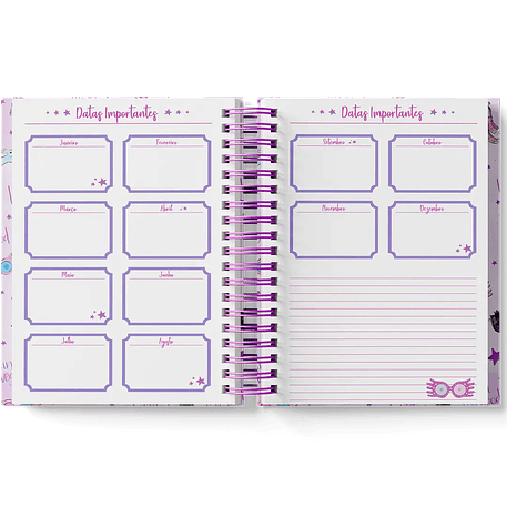 Arquivo Coleção Harry Potter Edição Especial Luna  27