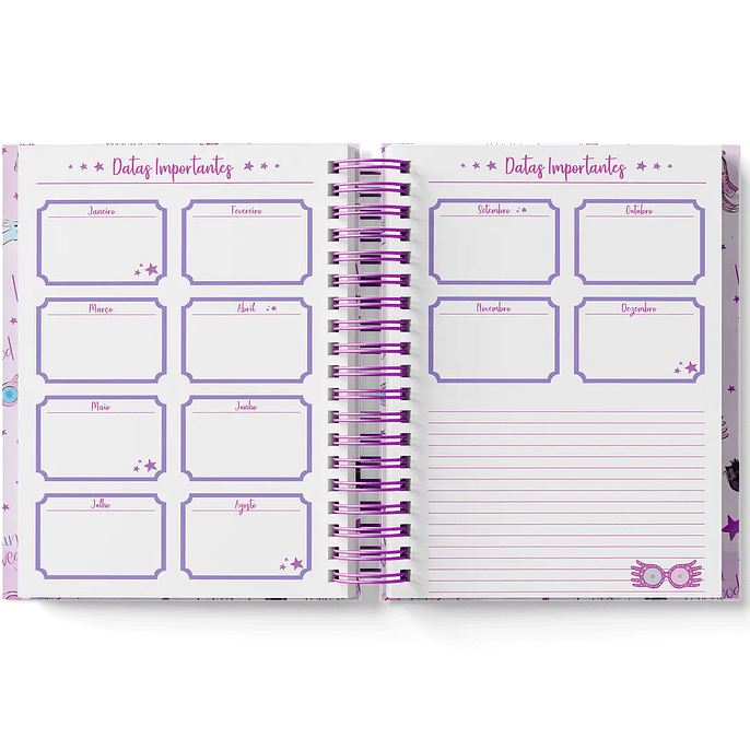 Arquivo Coleção Harry Potter Edição Especial Luna  27