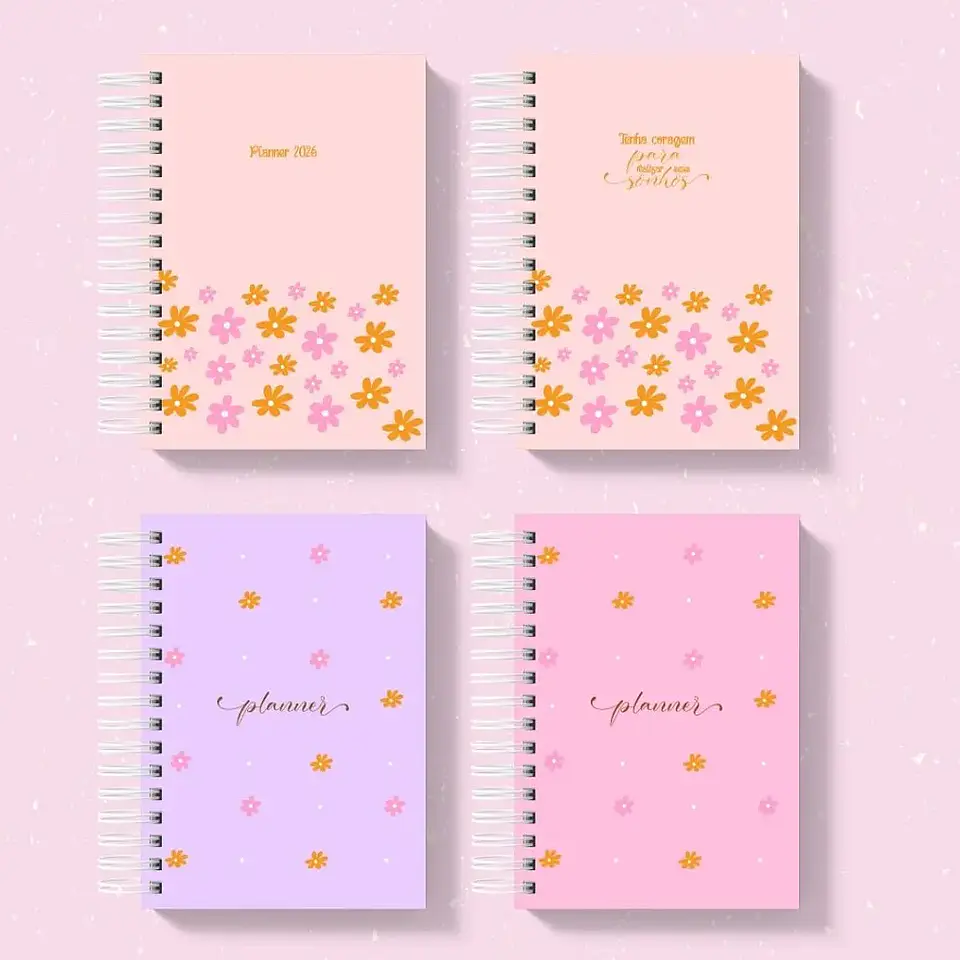 Arquivo Capas Coleção Meus Sonhos 5