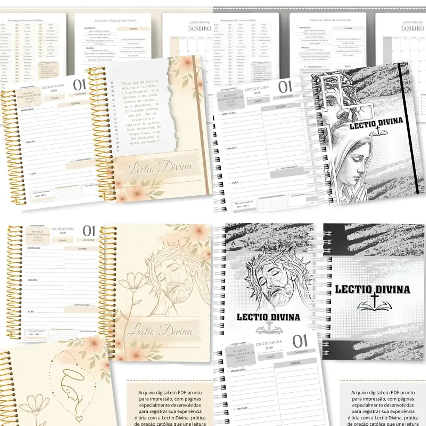 Arquivo Lectio Divina 2026 - abelhinha 1