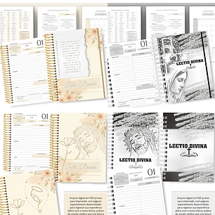 Arquivo Lectio Divina 2026 - abelhinha