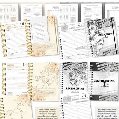 Arquivo Lectio Divina 2026 - abelhinha 1