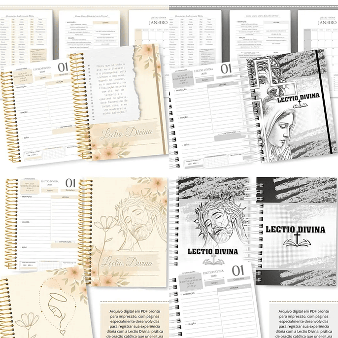Arquivo Lectio Divina 2026 - abelhinha 1