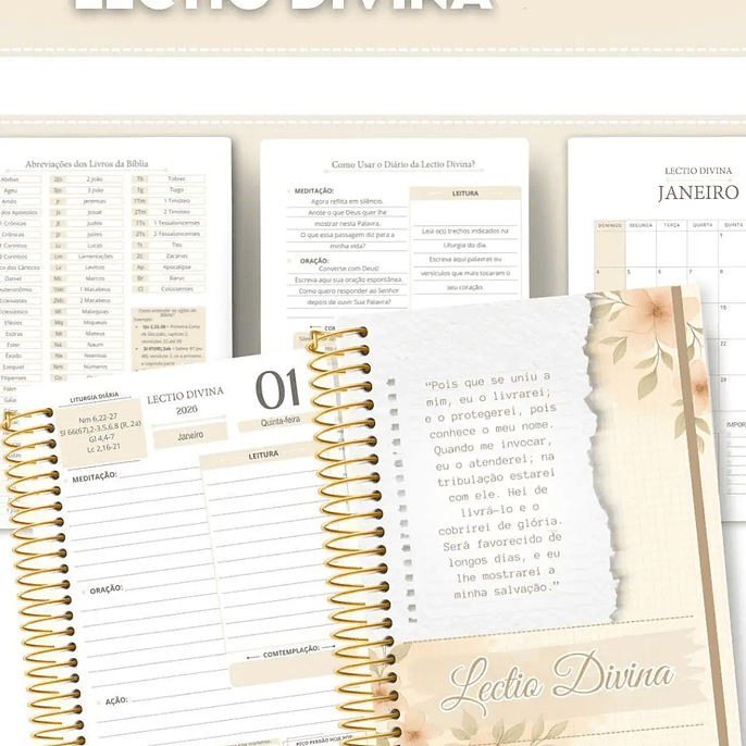 Arquivo Lectio Divina 2026 - abelhinha 2