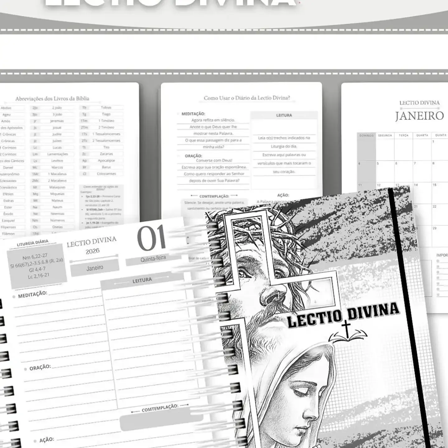 Arquivo Lectio Divina 2026 - abelhinha 3