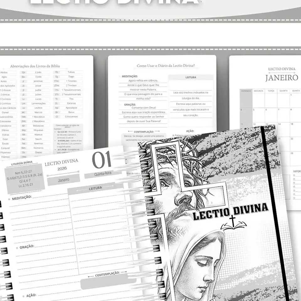 Arquivo Lectio Divina 2026 - abelhinha 3