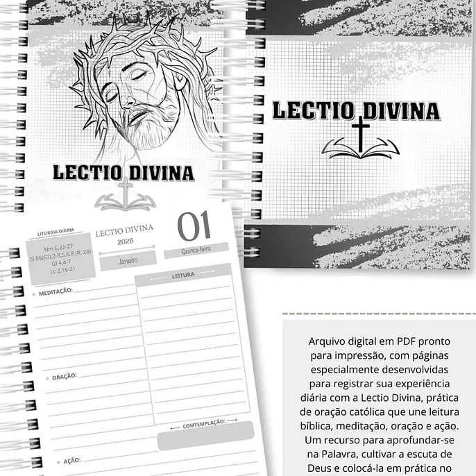 Arquivo Lectio Divina 2026 - abelhinha 5