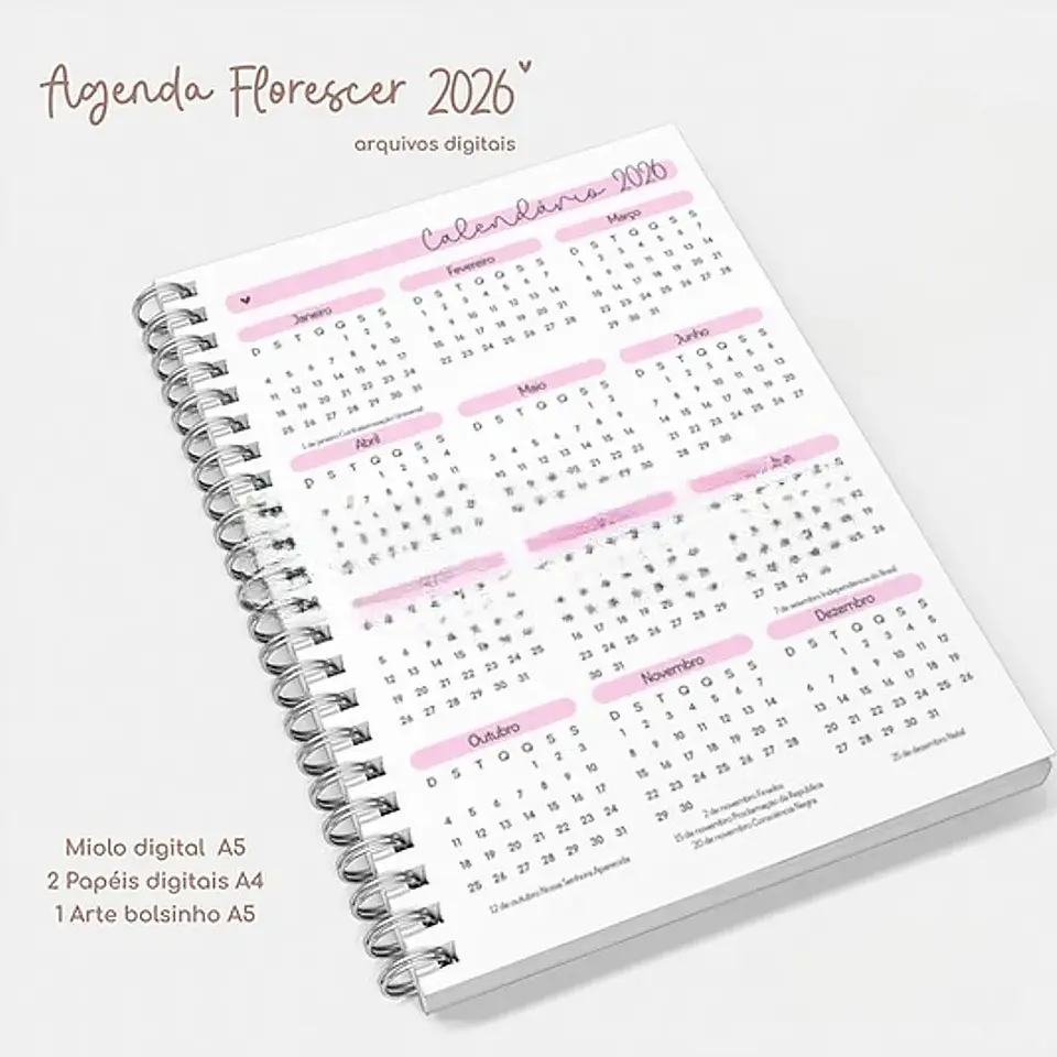 Arquivo Coleção Florescer e Agenda 2026  6