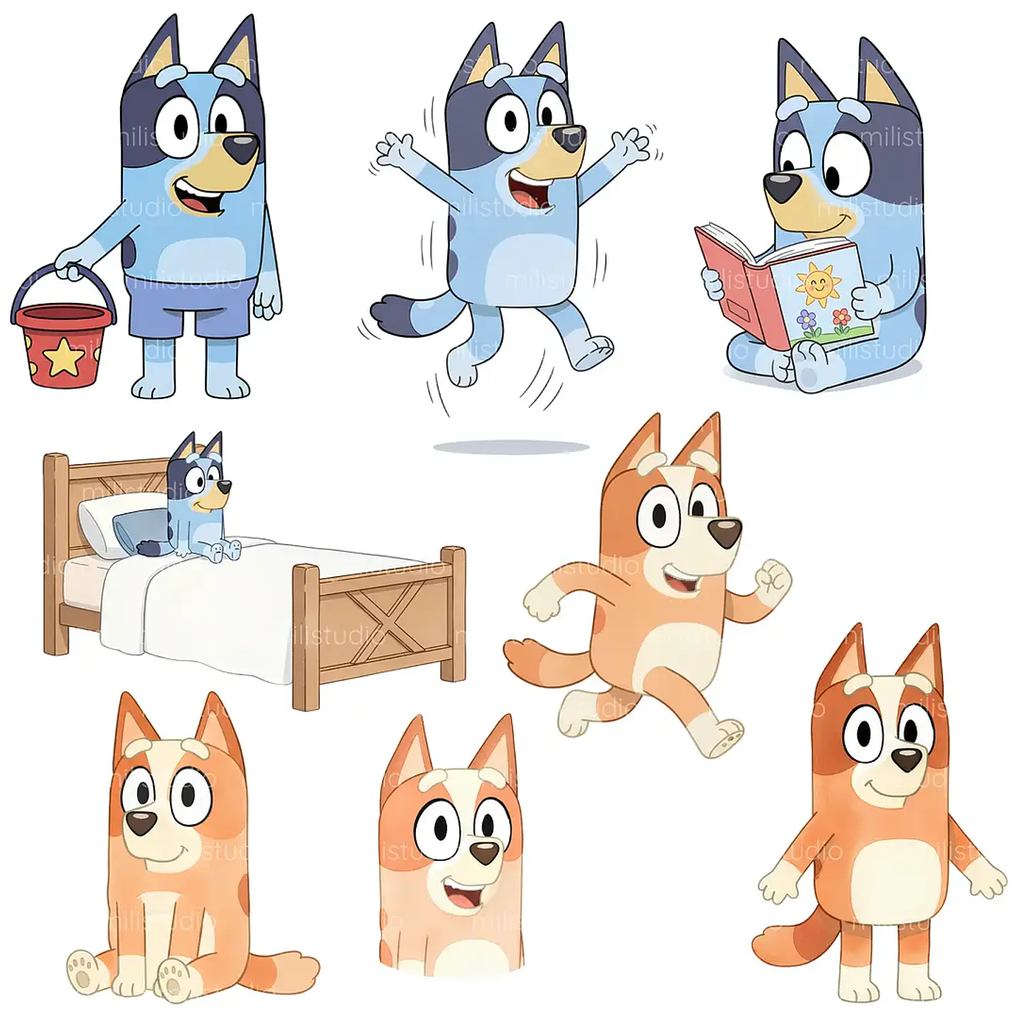 Kit Digital Bluey 13
