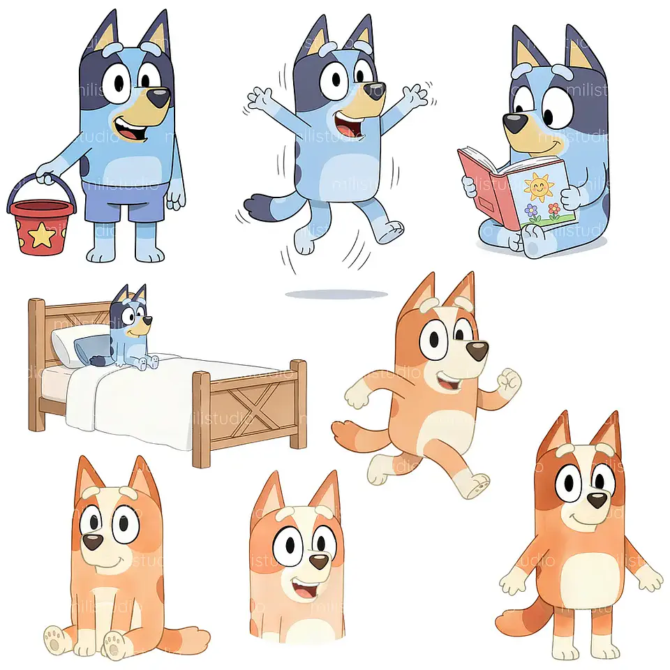 Kit Digital Bluey 13