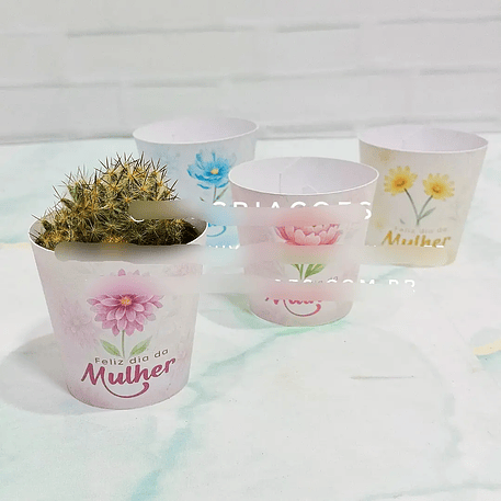 Arquivo Dia da Mulher Porta Cacto 1