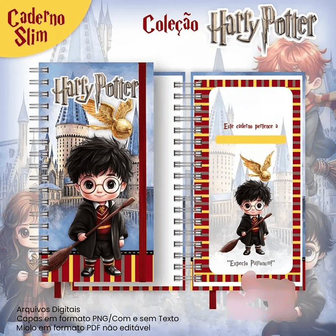 Arquivo Caderno Slim Coleção Harry Potter 1