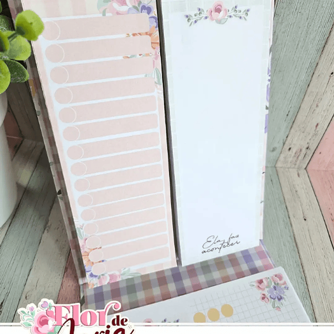 Arquivo Flor de Maria Especial + Video Aula 3