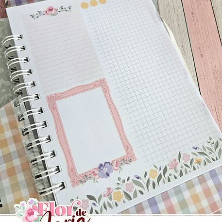 Arquivo Flor de Maria Especial + Video Aula 5