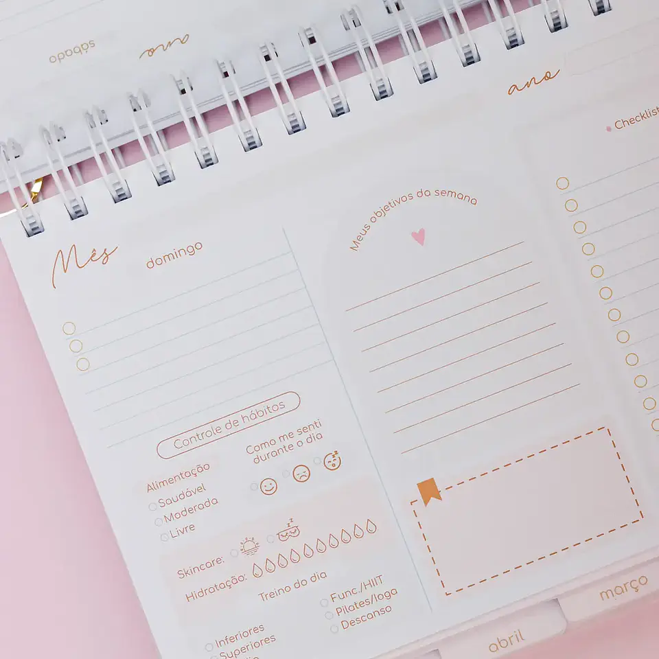 Arquivo Coleção Dia da Mulher Kit Mulher Organizada 12