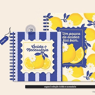 Arquivo Ácida e Necessária Capas & Artes