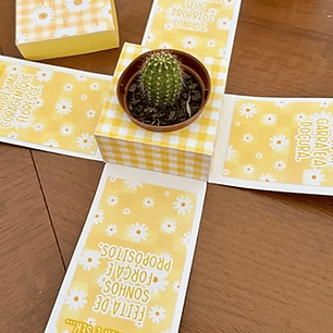 Arquivo Dia da Mulher Caixa Explosão