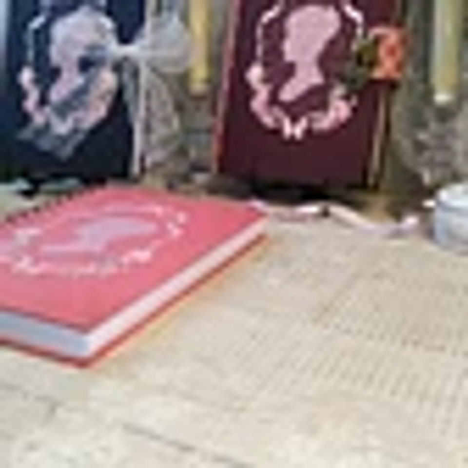 Arquivo Diario Coleção Laços e Rosas Wireo 4