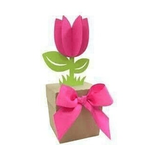 Arquivo Dia das Mães Caixa Tulipa