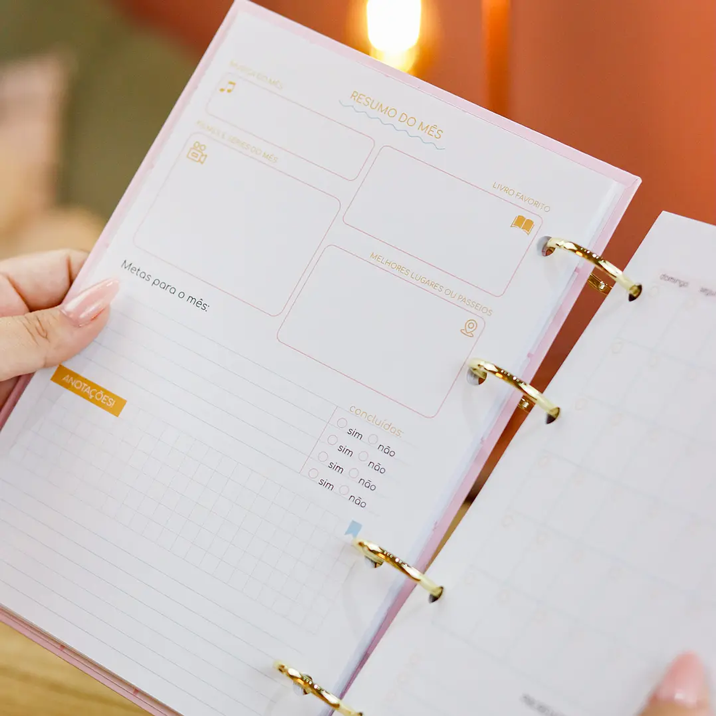 Arquivo Combo Encadernação Coleção Encanto 10