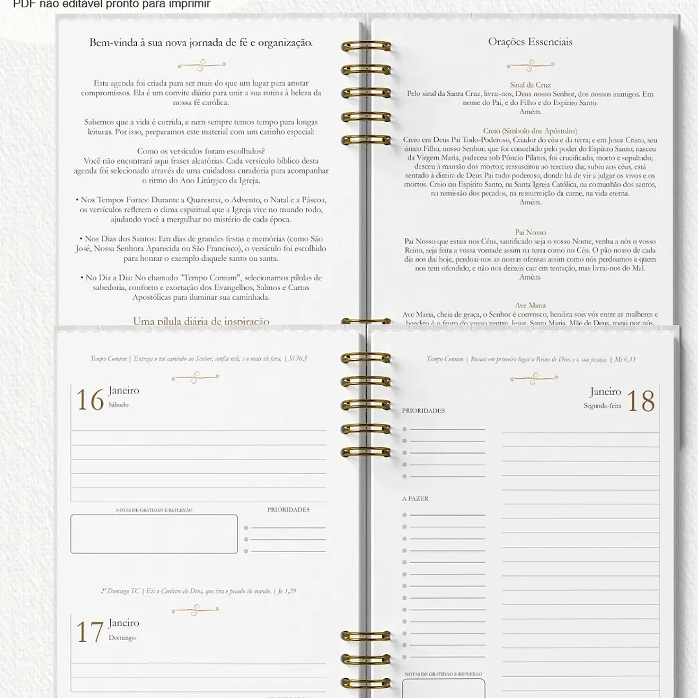 Arquivo Agenda com Versículos Católicos 2027 3