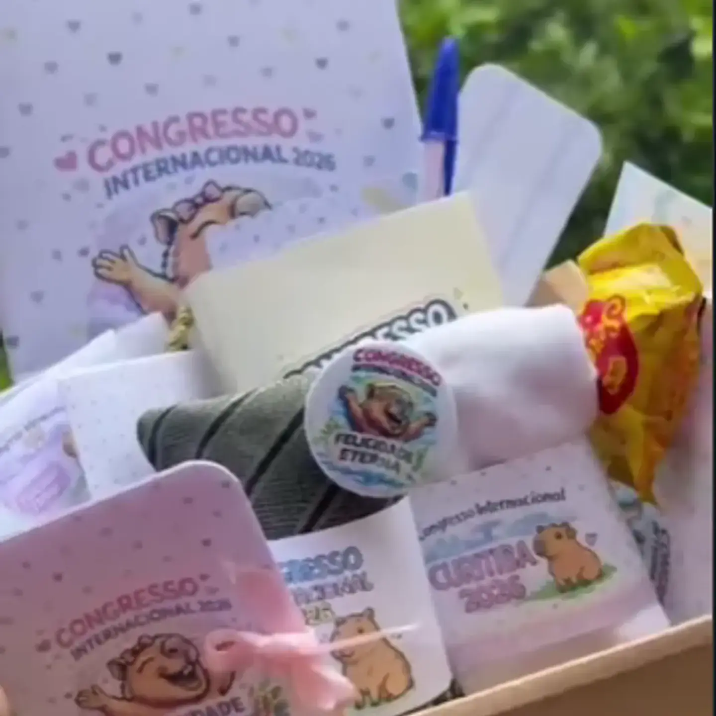 Arquivo Mimos Congresso Inter Capivara 1