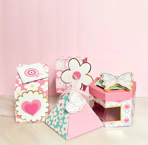 Arquivo Outubro Rosa 