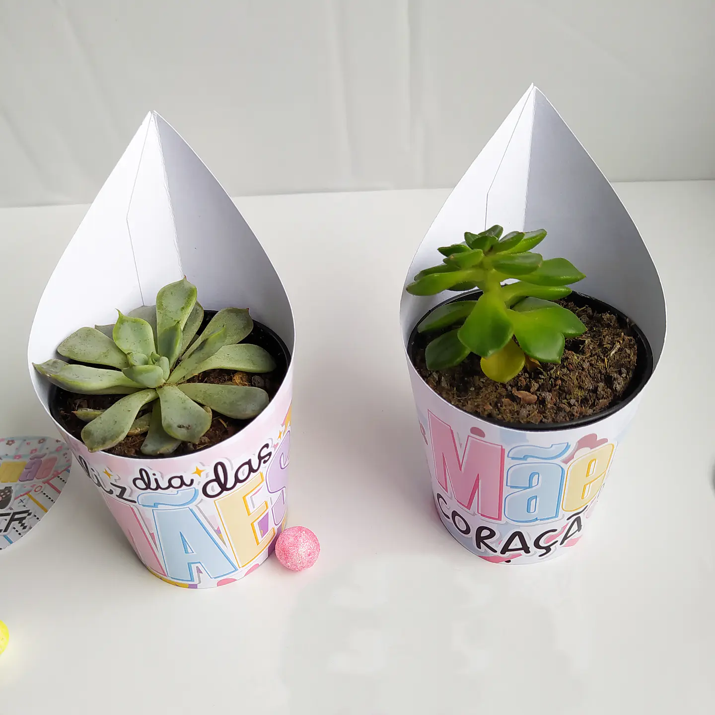 Arquivo Dia das Mães Envelope Suculenta 1