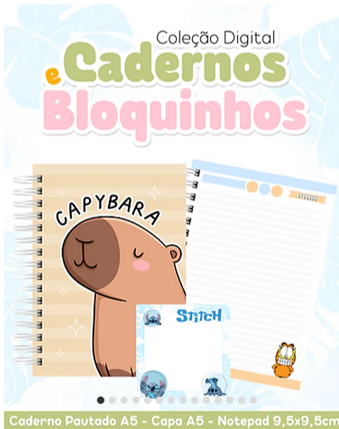 Arquivo Encadernação Coleção Cadernos e Bloquinhos