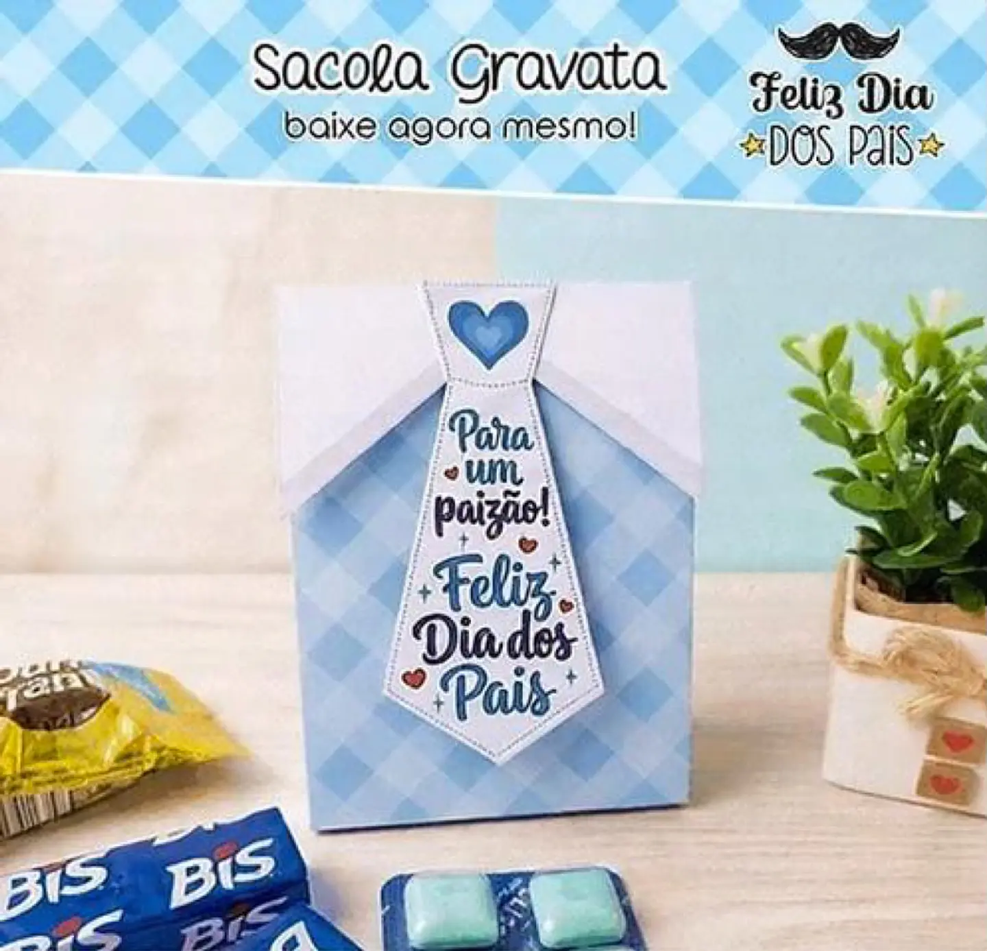Arquivo Dia dos Pais Sacola Gravata 1