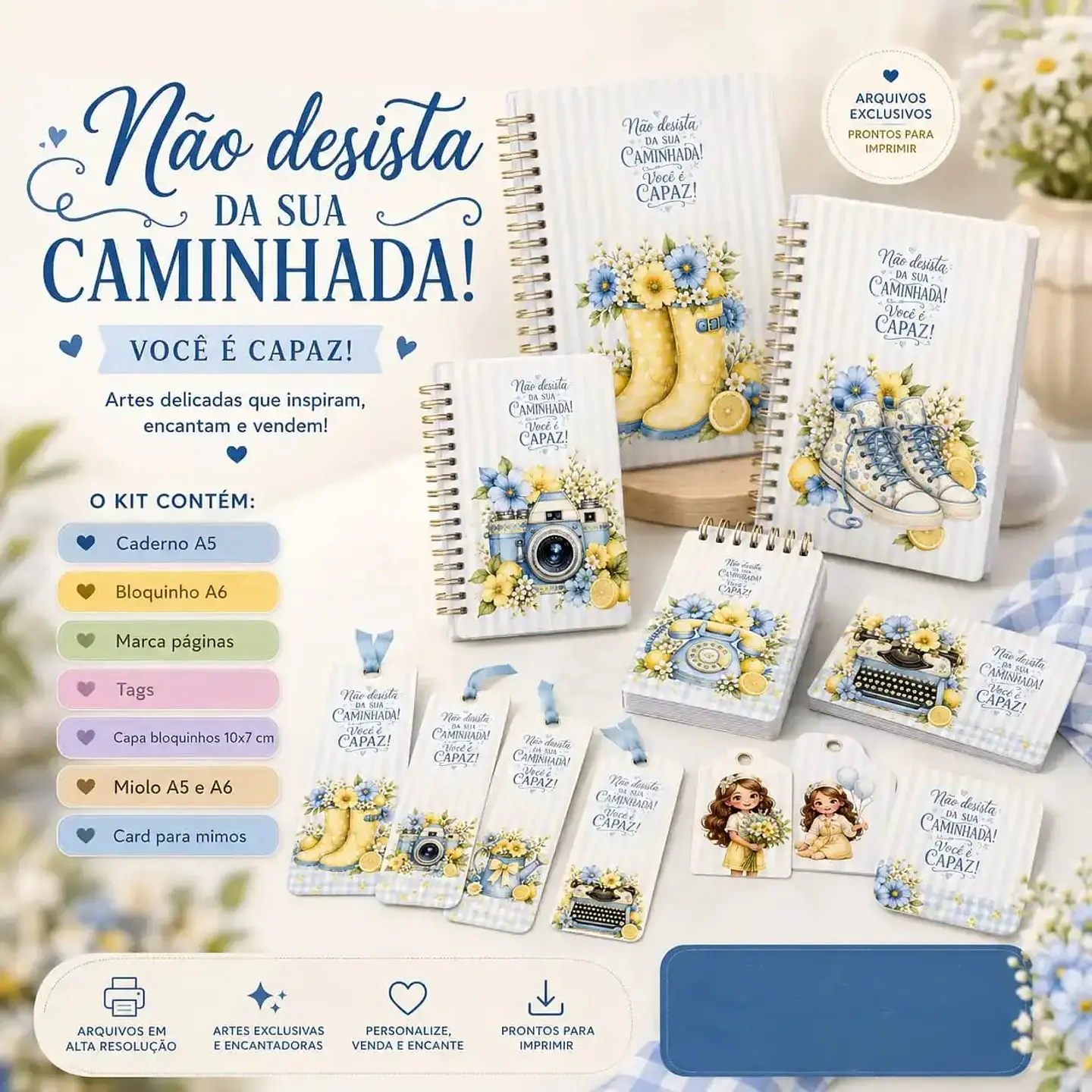 Arquivo Coleção Não Desista da Sua Caminhada 1