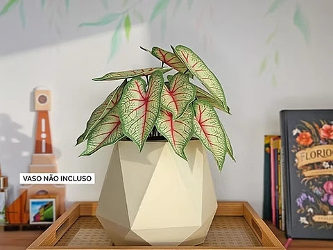 Arquivo De Corte Plantinha Caladium
