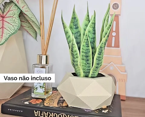 Arquivo De Corte Plantinha Espada de São Jorge