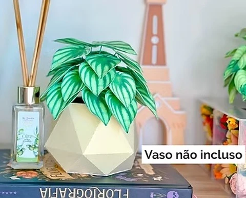 Arquivo De Corte Plantinha Peperômia Melancia