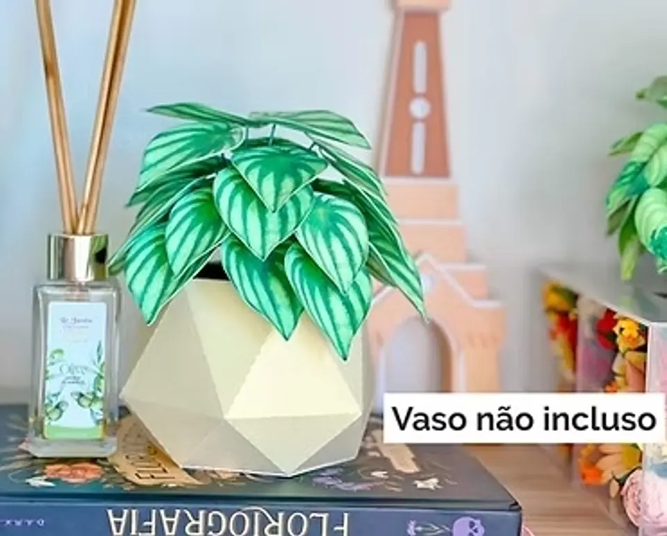 Arquivo De Corte Plantinha Peperômia Melancia 1