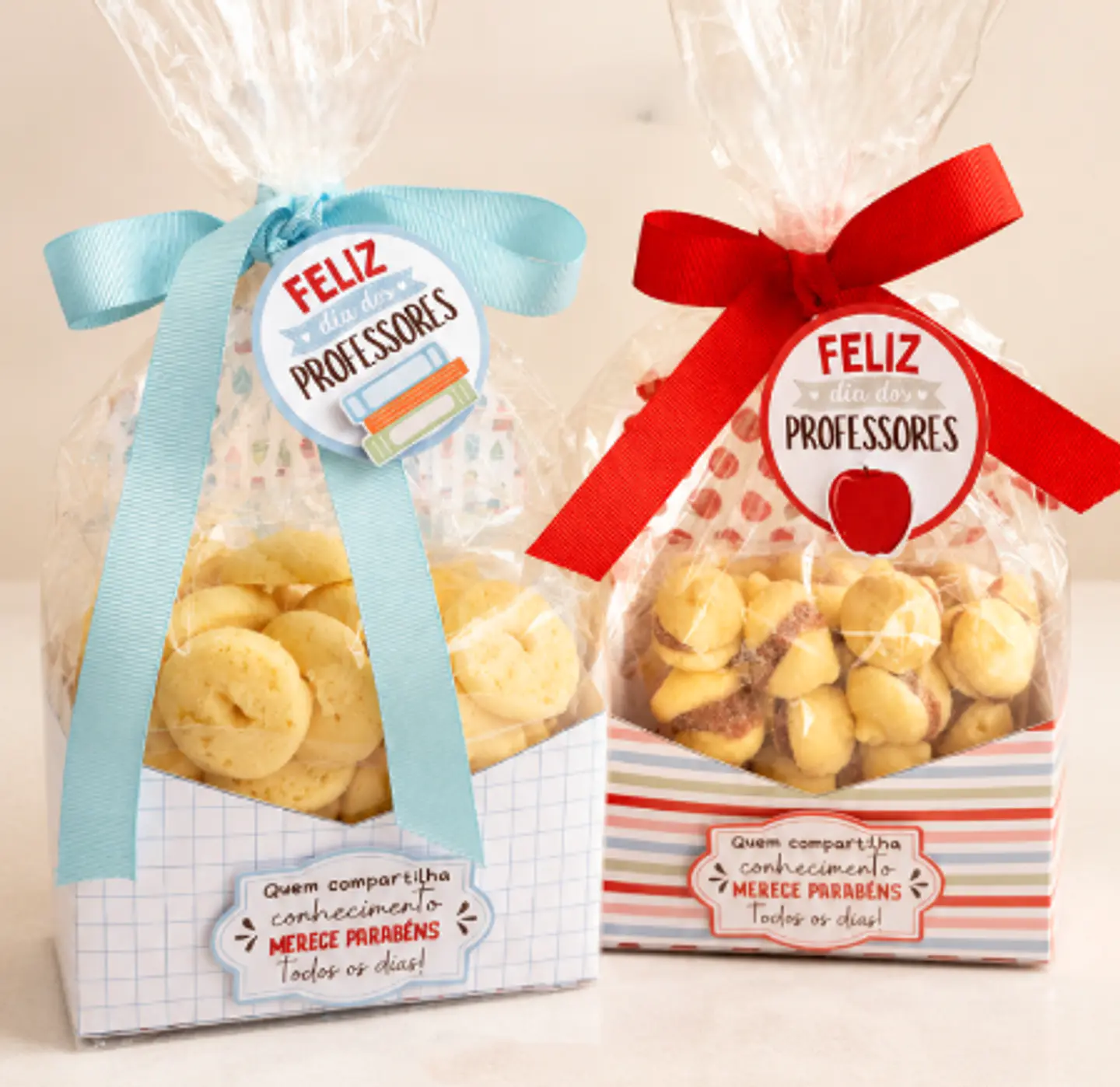Arquivo Dia dos Professores Lembrancinha - Porta Biscoito  1