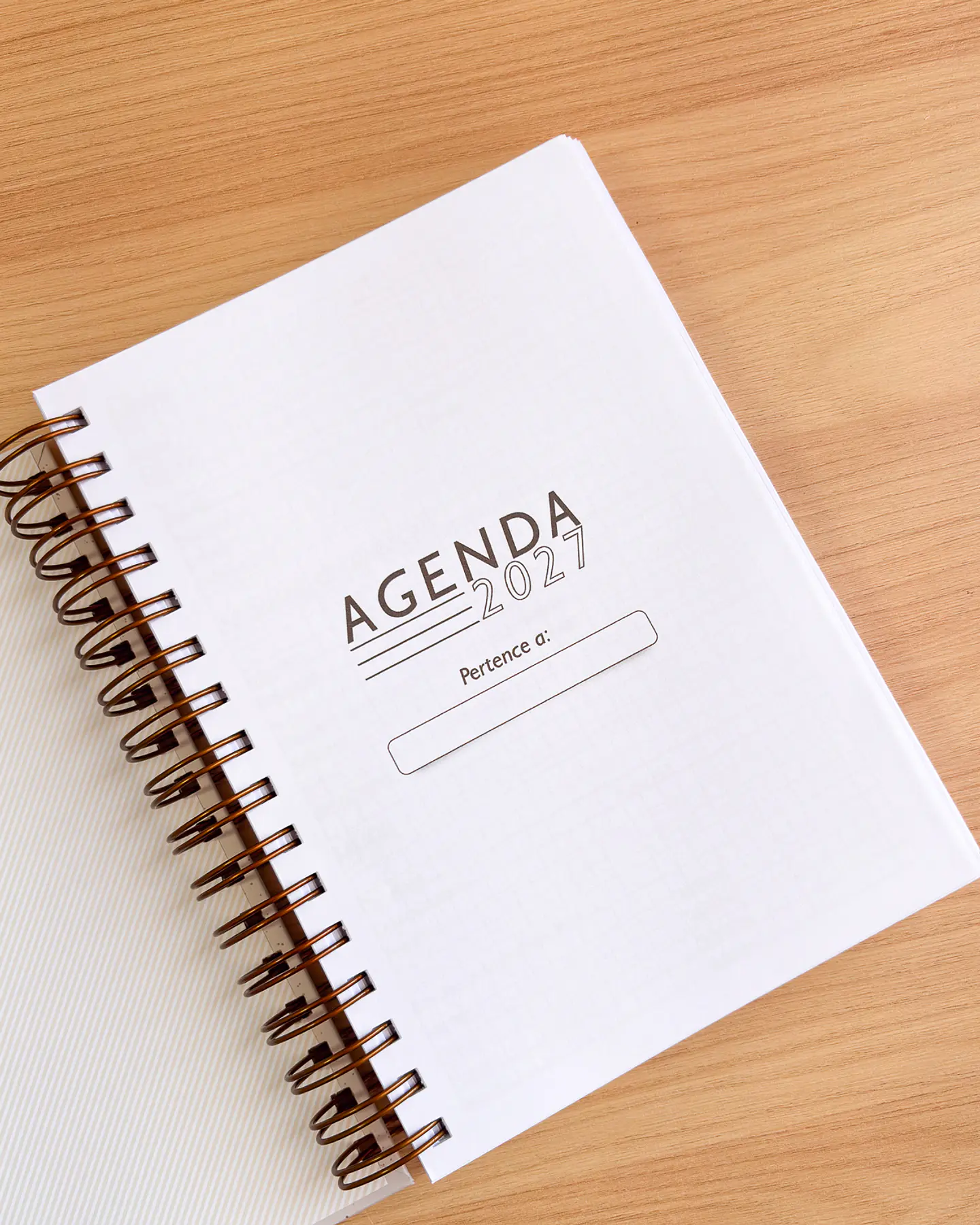 Arquivo Digital Agenda Neutra 2027 - 1 DPP e 1 DPP com Sáb e Dom juntos 3