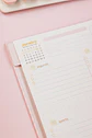 Arquivo Combo Planners Fofos 2027 - Thumbnail 4