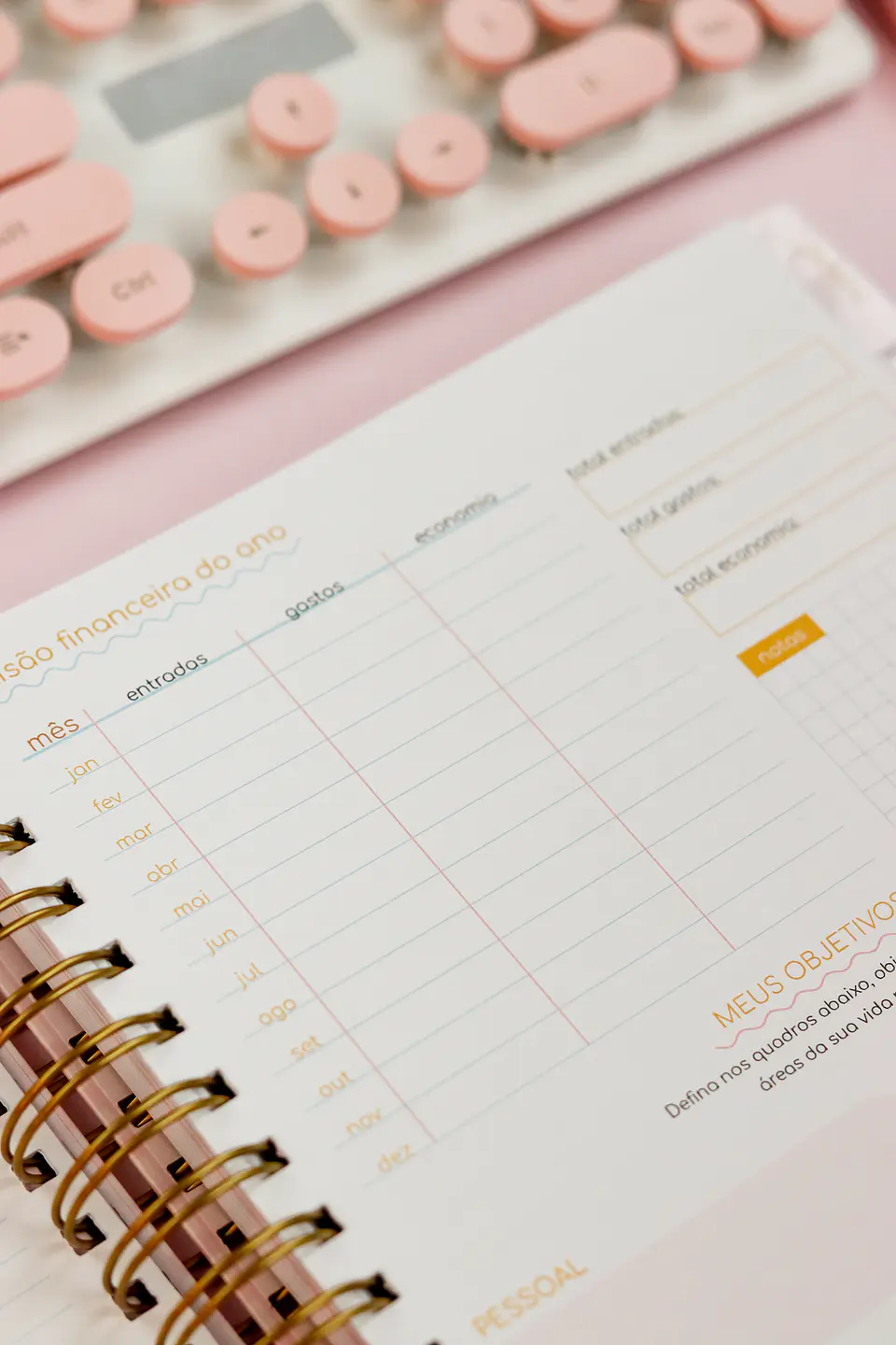 Arquivo Combo Planners Fofos 2027 5