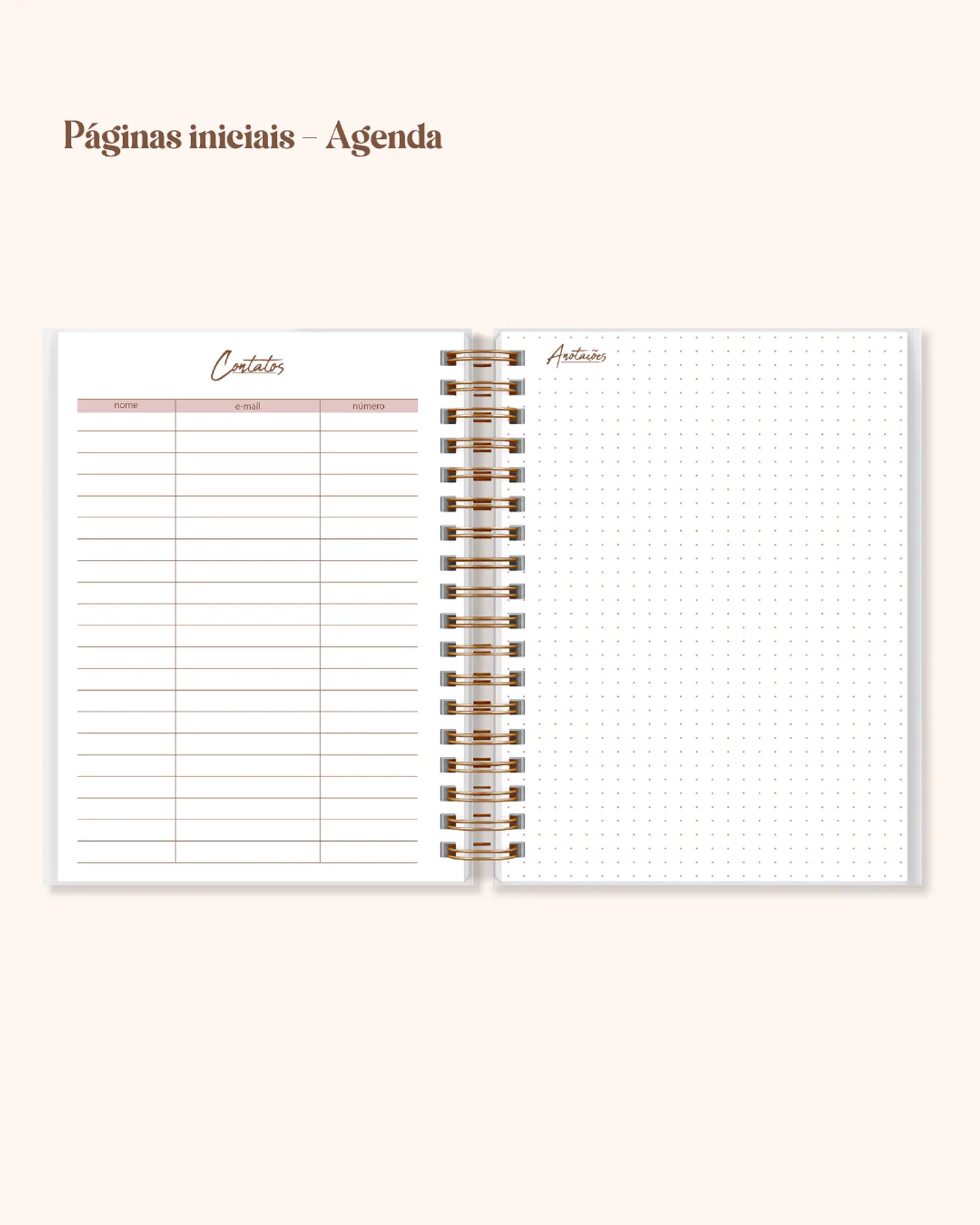 Arquivo Coleção Completa Planner e Agendas 3