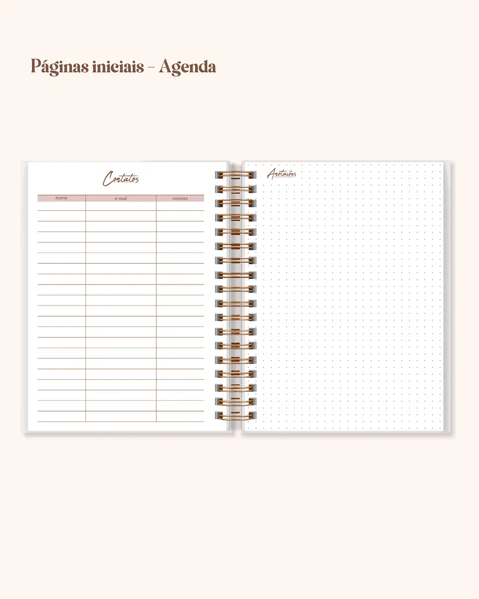 Arquivo Coleção Completa Planner e Agendas 3